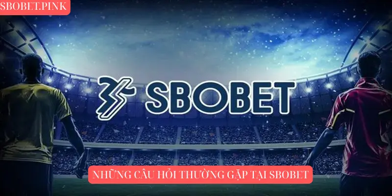 Những Câu Hỏi Thường Gặp Tại SBOBET